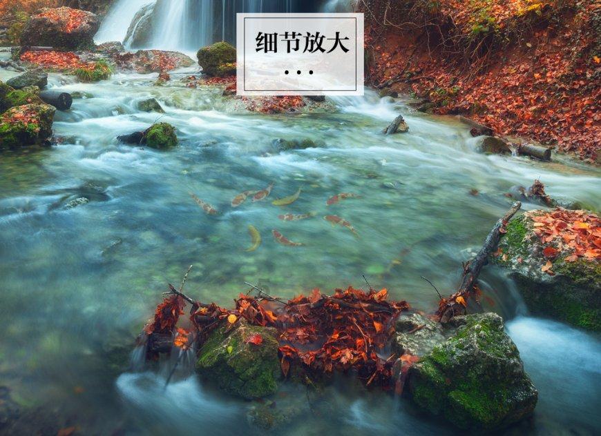 小猫钓鱼游戏龙王版有船